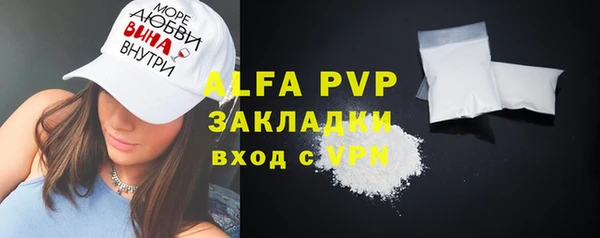 индика Слюдянка