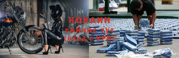 прущие крисы Беломорск
